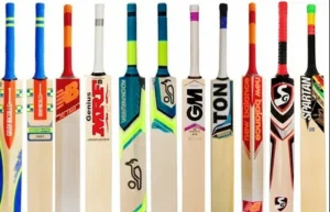 Best Bats Service