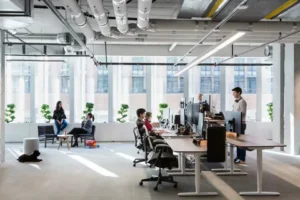 Best Office Service in lahore 