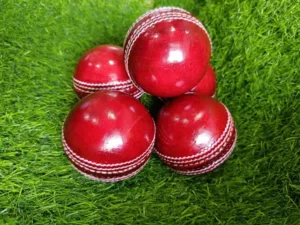 Professional Cricket Ball